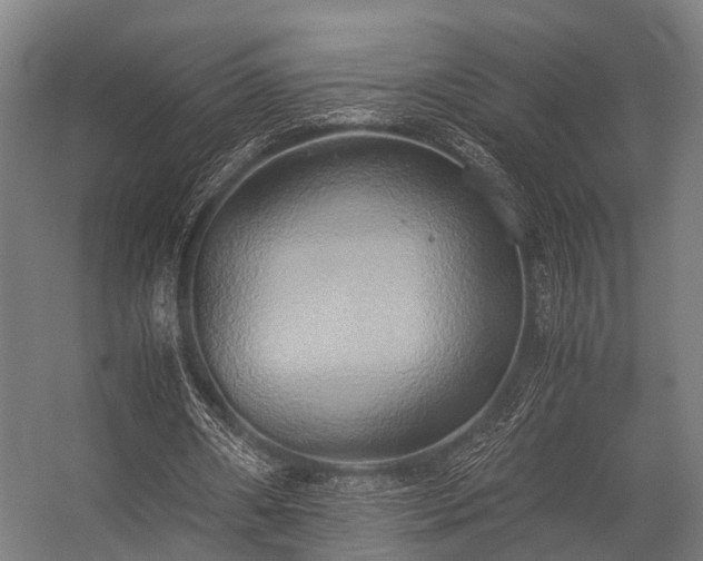 X0000057040482200509120824