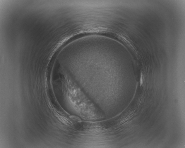 X0000057040483200509120824