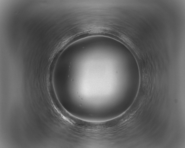 X0000057040485200509120824
