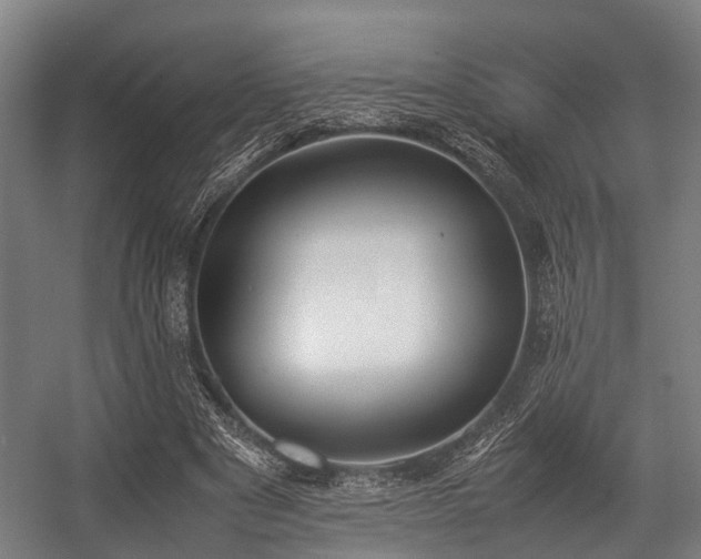 X0000057040489200509120824