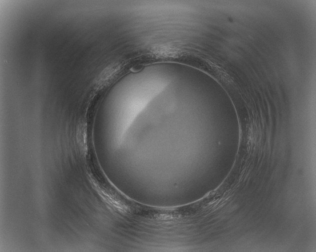 X0000057040494200509120824