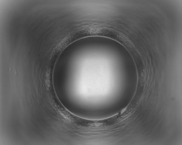 X0000057040497200509120824