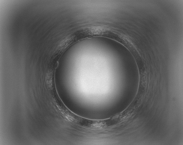 X0000057040505200509120824