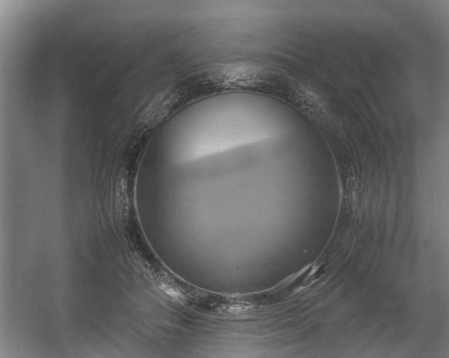 X0000057040506200509120824