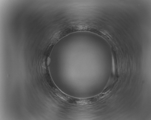 X0000057040516200509120823