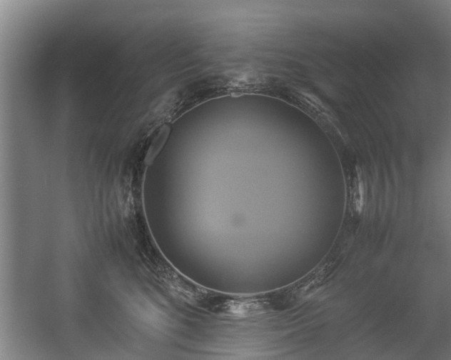 X0000057040520200509120823