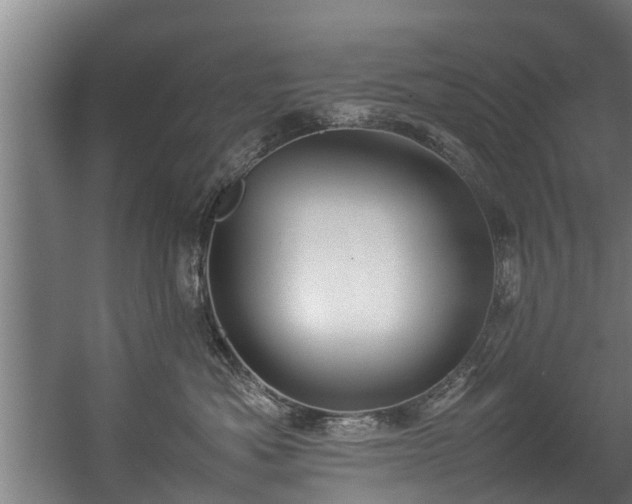 X0000057040525200509120823
