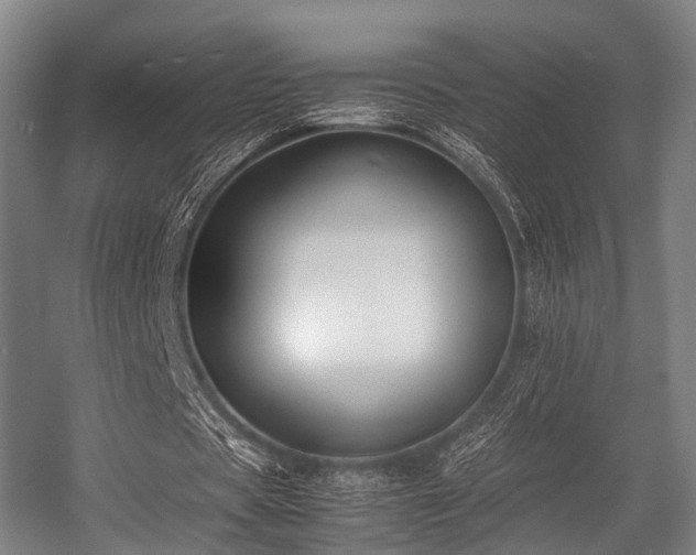 X0000057040529200509120822