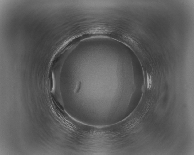 X0000057040531200509120822