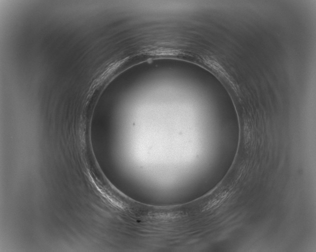 X0000057040533200509120822