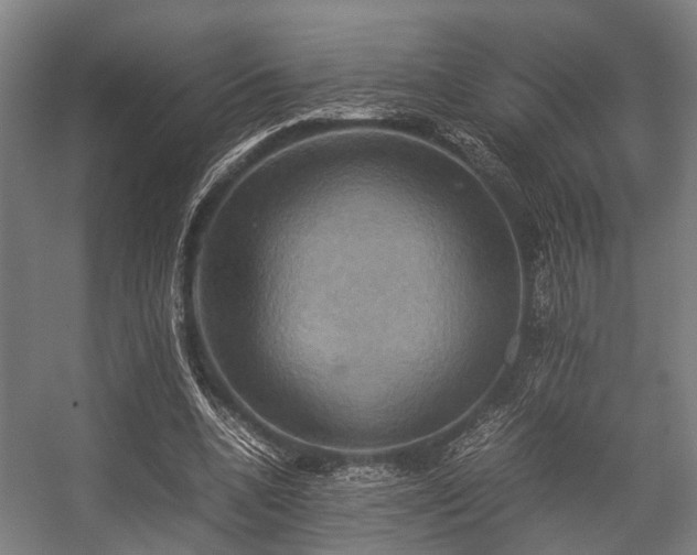 X0000057040536200509120822