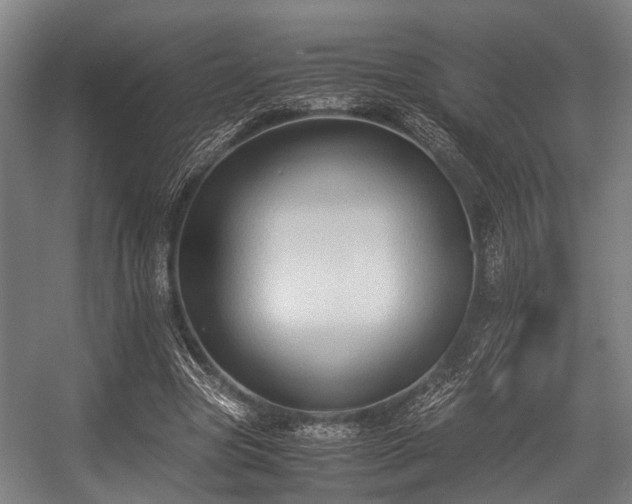 X0000057040537200509120822