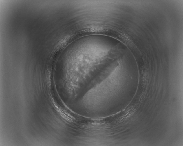 X0000057040542200509120823