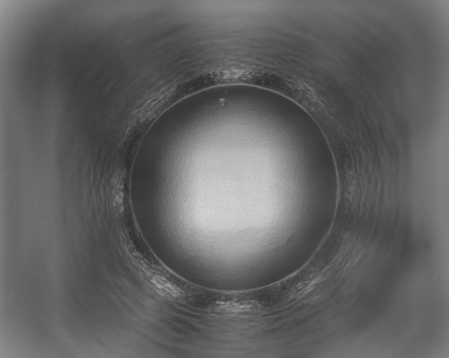 X0000057040545200509120823