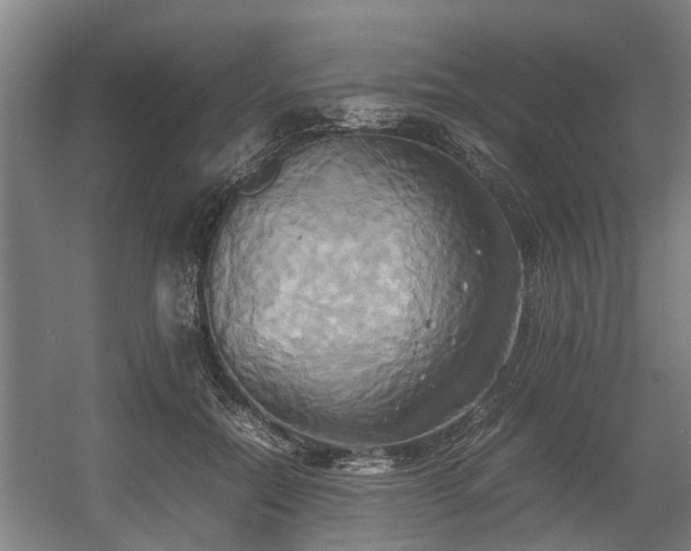 X0000057040554200509120823