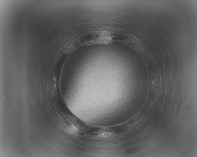 X0000057040555200509120823