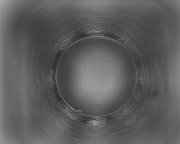 X0000057040563200509120823