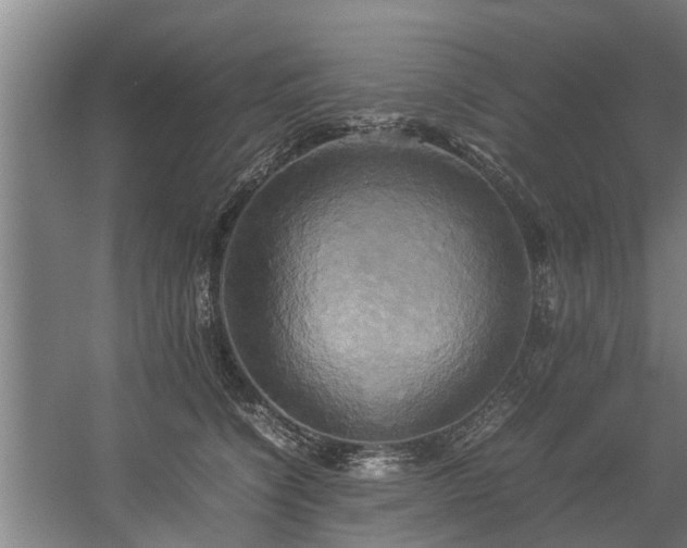 X0000057040564200509120823