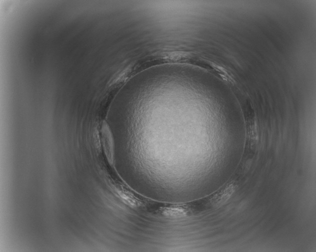 X0000057040572200509120823