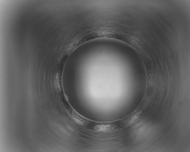 X0000057040575200509120823