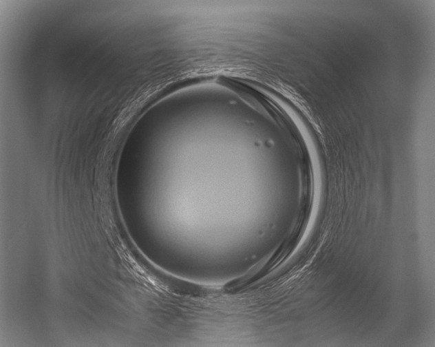 X0000057040577200509120822