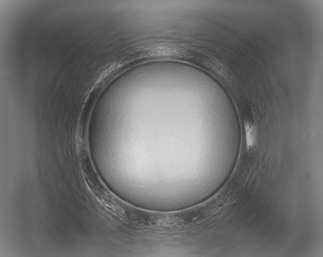 X0000057040579200509120822