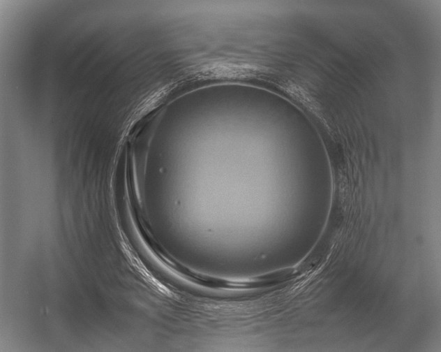 X0000057040581200509120822