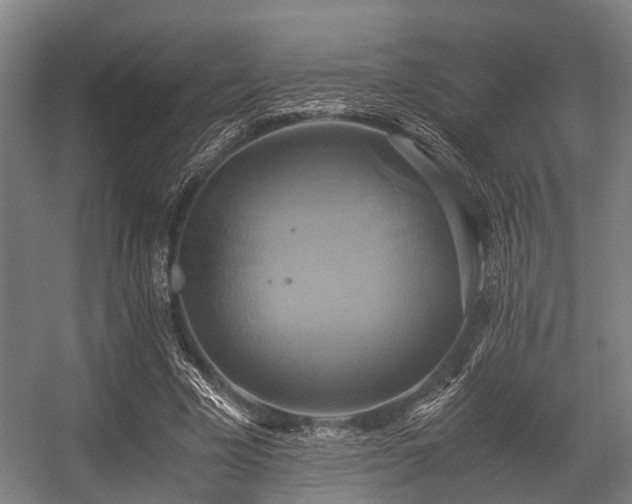 X0000057040585200509120822