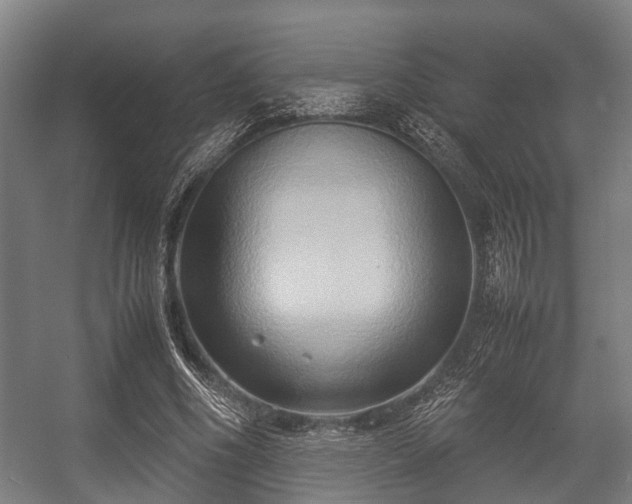 X0000057040586200509120822