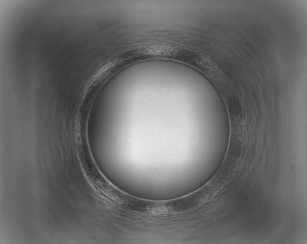 X0000057040587200509120822