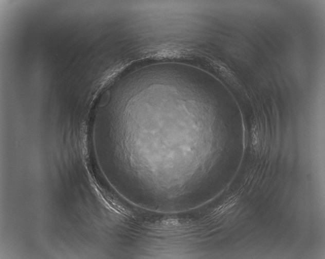 X0000057040588200509120822