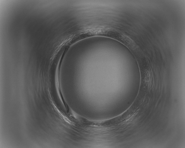 X0000057040590200509120822