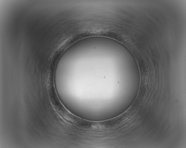 X0000057040591200509120822