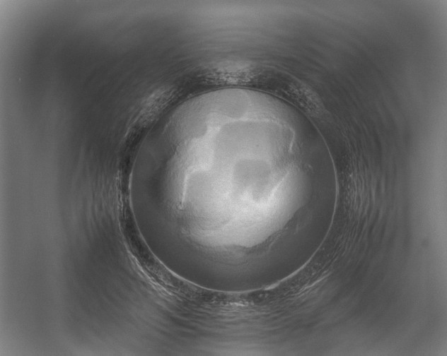 X0000057040594200509120822