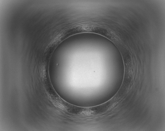 X0000057040595200509120822