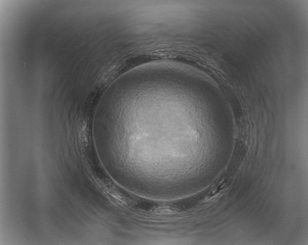 X0000057040597200509120822