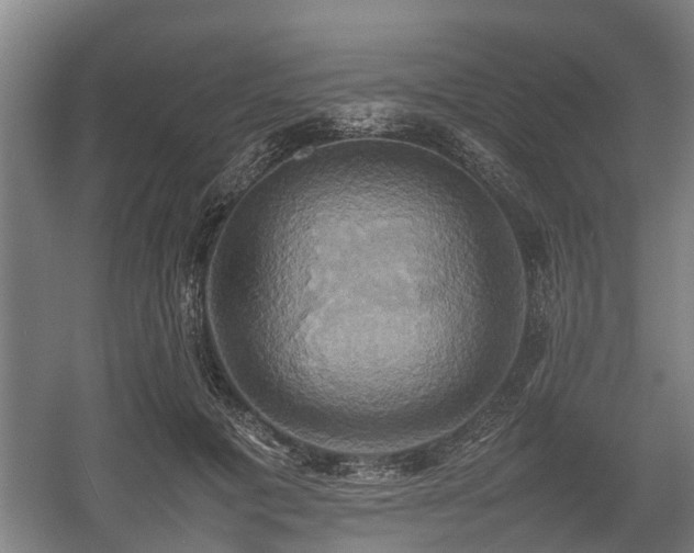 X0000057040601200509120822
