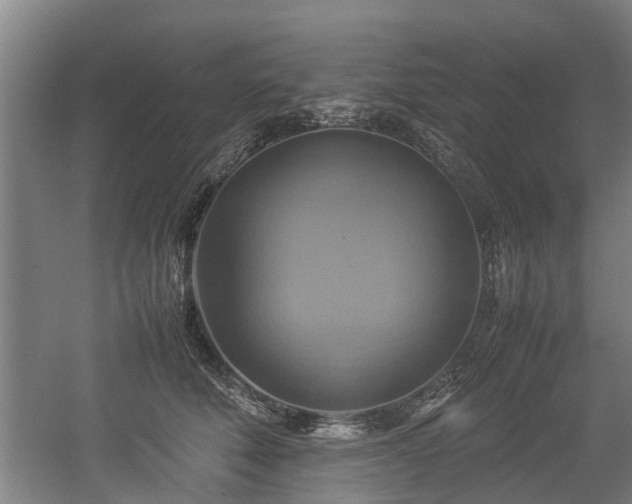 X0000057040610200509120822