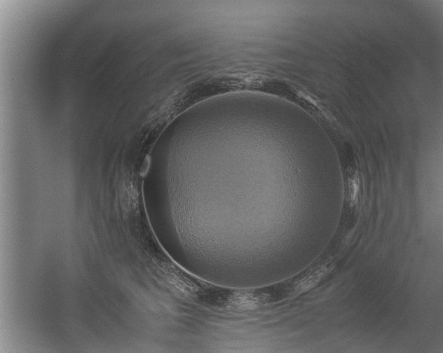 X0000057040613200509120822