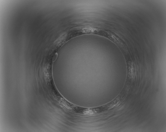 X0000057040616200509120822