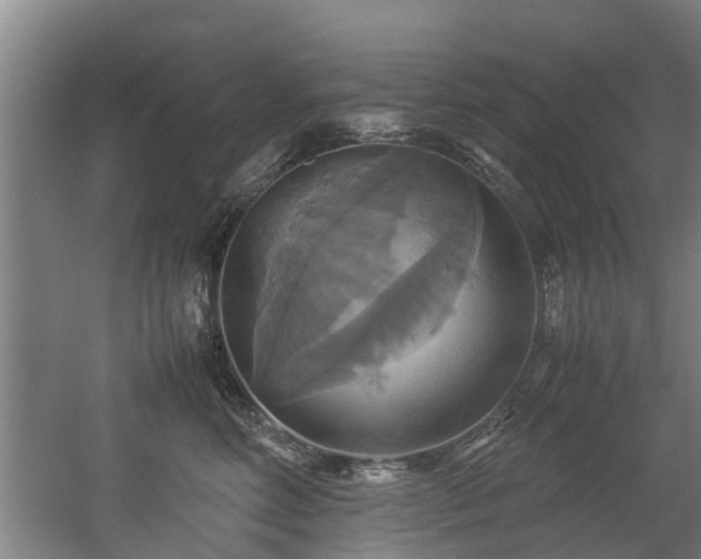 X0000057040618200509120822
