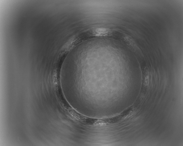 X0000057040620200509120822