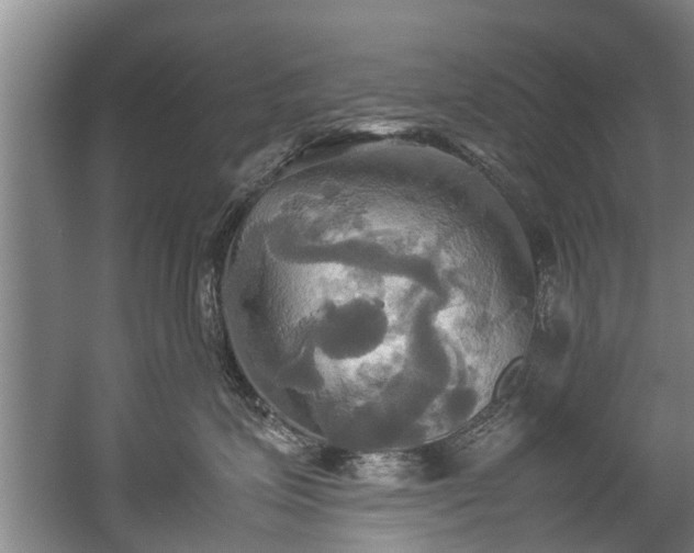 X0000057040623200509120822