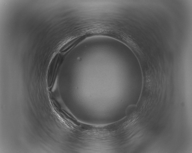 X0000057040626200509120821
