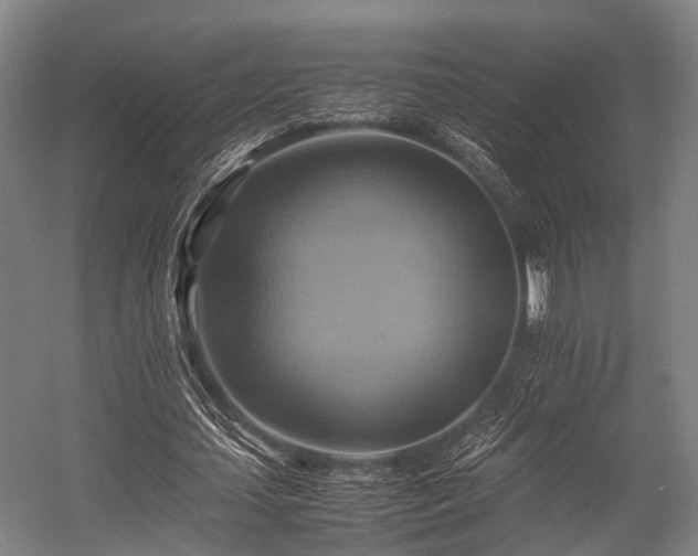 X0000057040627200509120821