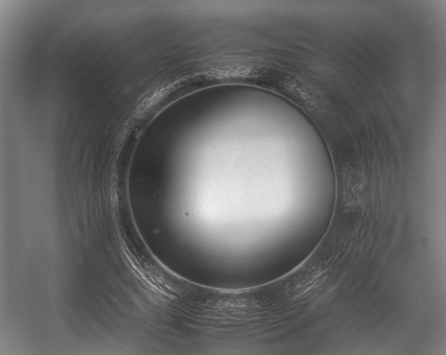 X0000057040631200509120821