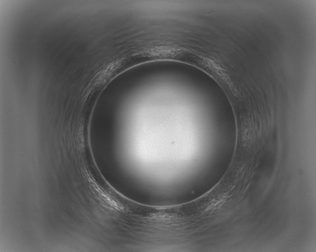 X0000057040633200509120821