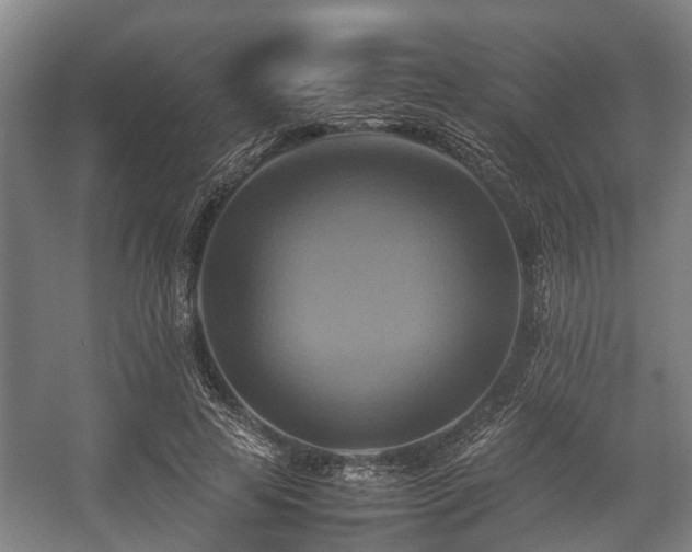 X0000057040641200509120821