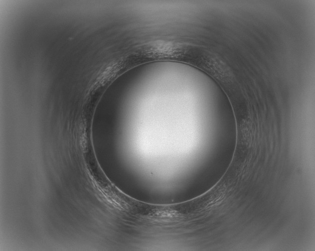 X0000057040642200509120821