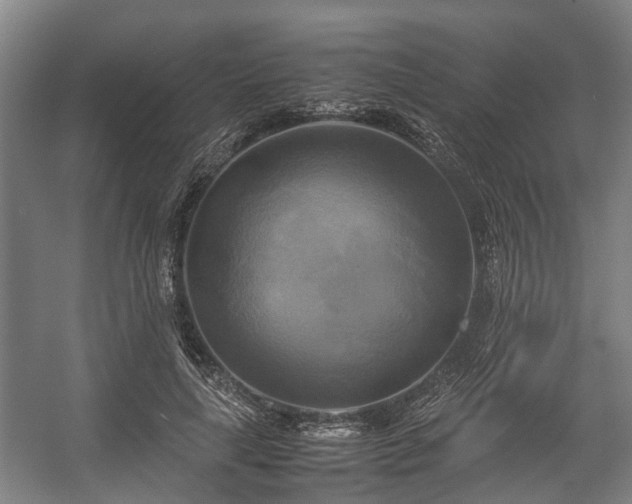 X0000057040643200509120821